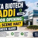 Maya Biotech Baddi Me Job Opening: Kya Scene Hai? Check Karo